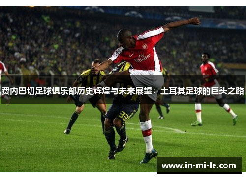 费内巴切足球俱乐部历史辉煌与未来展望：土耳其足球的巨头之路