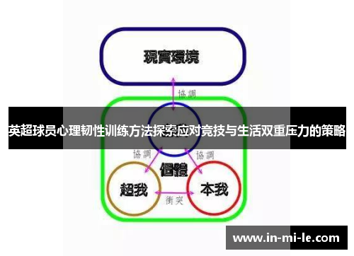 英超球员心理韧性训练方法探索应对竞技与生活双重压力的策略 英超球员心理韧性训练方法探索应对竞技与生活双重压力的策略