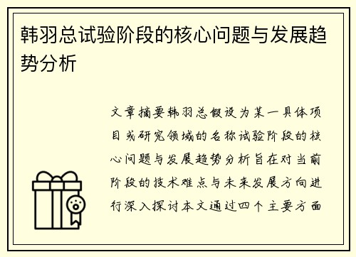 韩羽总试验阶段的核心问题与发展趋势分析 韩羽总试验阶段的核心问题与发展趋势分析